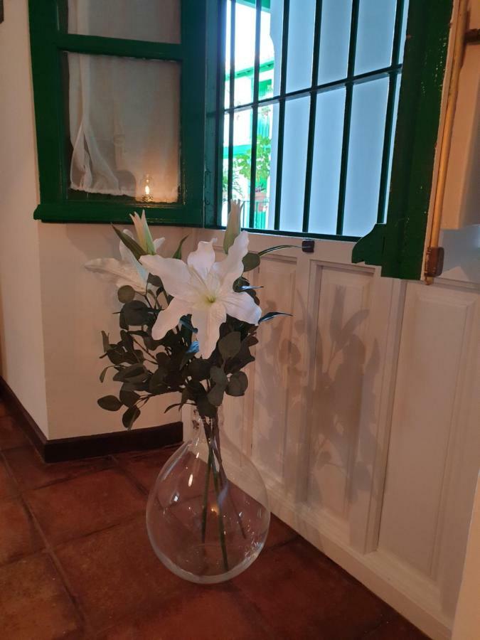 Apartamento Las Setas Seville Ngoại thất bức ảnh